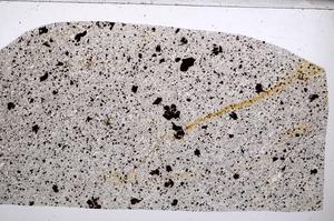 Plane Polarized, E65327