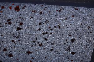 Cross Polarized, E65329