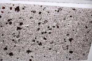 Plane Polarized, E65329