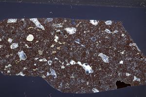 Cross Polarized, E65330