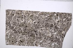 Plane Polarized, E65331