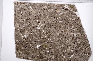 Plane Polarized, E65333