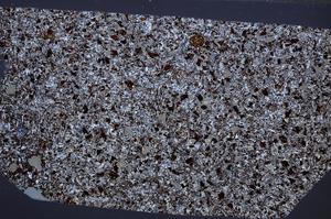 Cross Polarized, E65334