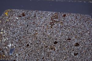 Cross Polarized, E65336