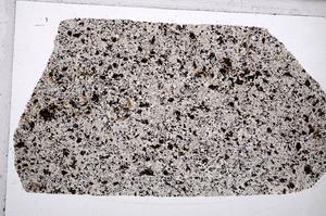 Plane Polarized, E65337