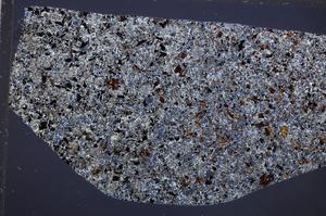 Cross Polarized, E65338