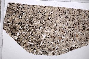 Plane Polarized, E65338