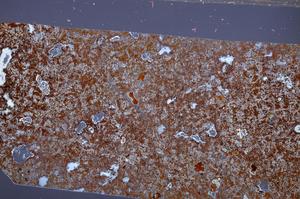 Cross Polarized, E65339