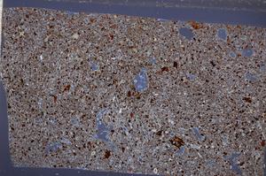 Cross Polarized, E65340