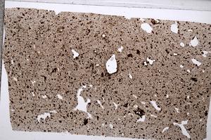 Plane Polarized, E65340