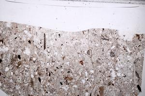 Plane Polarized, E65343