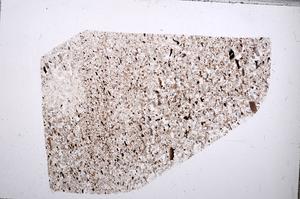 Plane Polarized, E65346