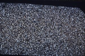 Cross Polarized, E65347