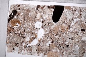 Plane Polarized, E65348