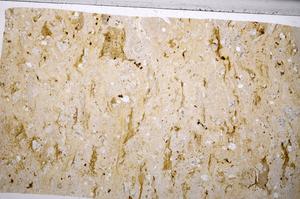 Plane Polarized, E65349