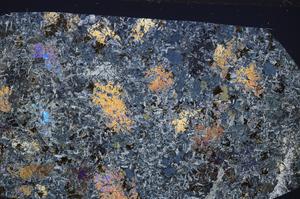 Cross Polarized, E65351