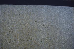 Cross Polarized, E65354