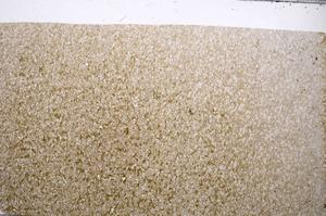 Plane Polarized, E65354