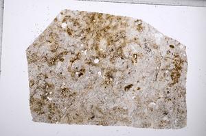 Plane Polarized, E65355