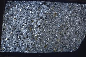 Cross Polarized, E65356