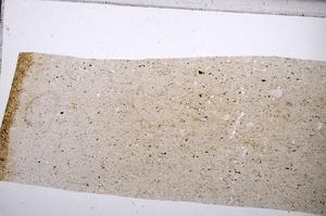 Plane Polarized, E65357