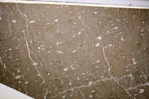 Plane Polarized, E65409