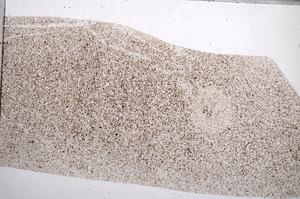 Plane Polarized, E65474