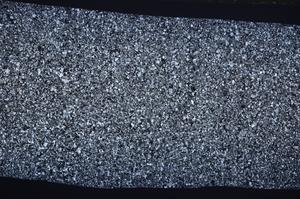 Cross Polarized, E65475