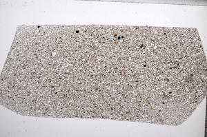 Plane Polarized, E65478