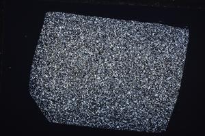 Cross Polarized, E65481