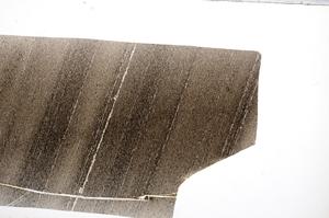 Plane Polarized, E65526