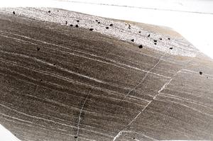Plane Polarized, E65529
