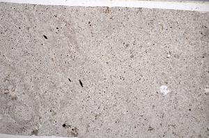 Plane Polarized, E65567