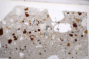 Plane Polarized, E65569