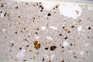 Plane Polarized, E65570