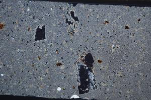 Cross Polarized, E65571