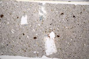 Plane Polarized, E65571