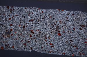 Cross Polarized, E65572