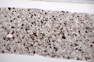 Plane Polarized, E65572