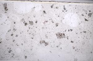 Plane Polarized, E65573