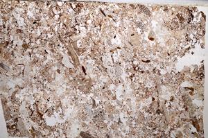 Plane Polarized, E65574