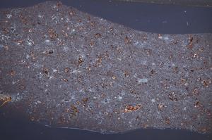 Cross Polarized, E65575