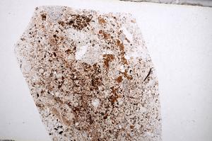 Plane Polarized, E65576