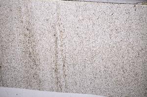 Plane Polarized, E65579