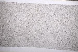 Plane Polarized, E65581