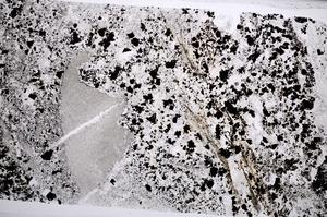 Plane Polarized, E65856