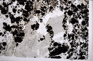 Plane Polarized, E65858