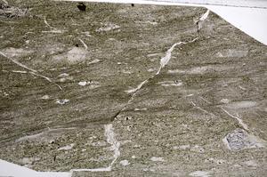 Plane Polarized, E66145