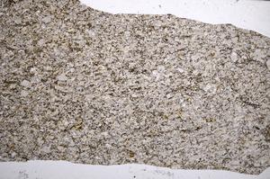 Plane Polarized, E66226