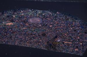 Cross Polarized, E66852